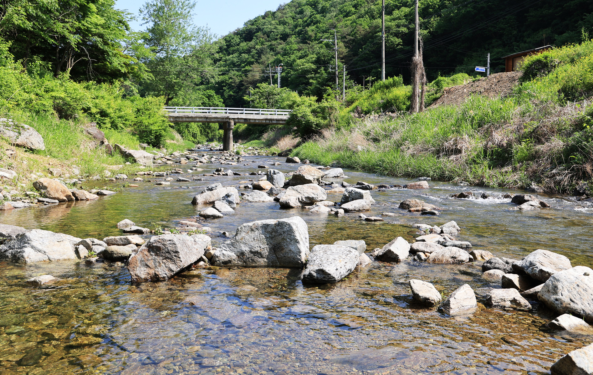 숲에서 놀자 이미지