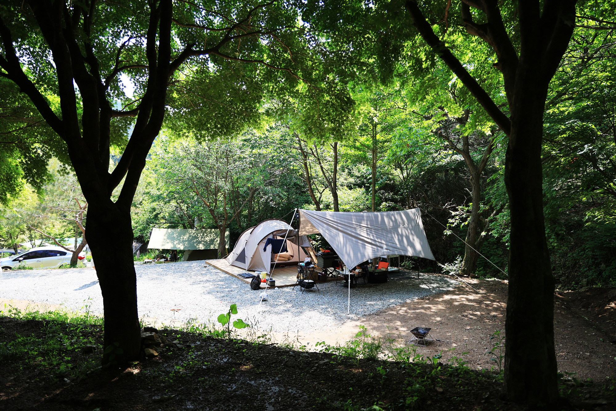 숲에서 놀자 이미지