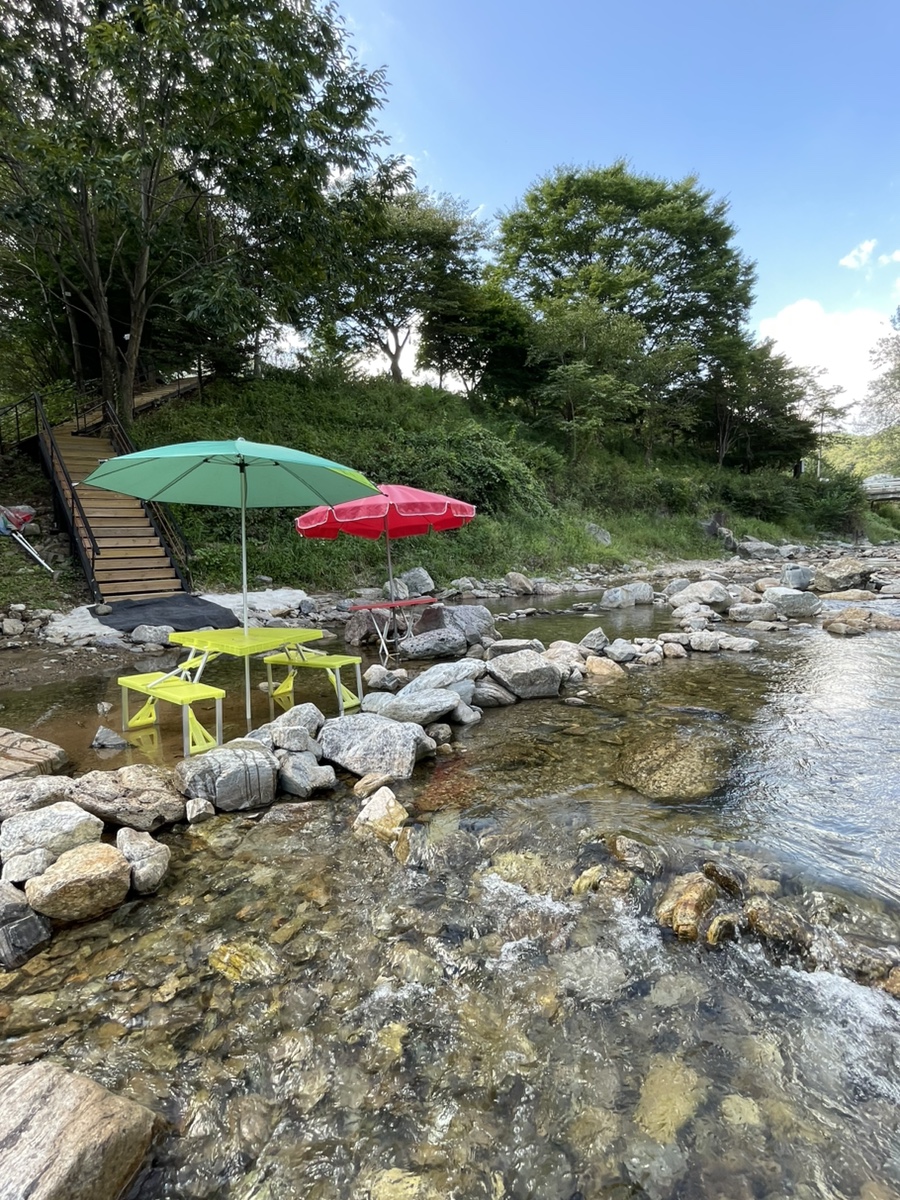 숲에서 놀자 이미지