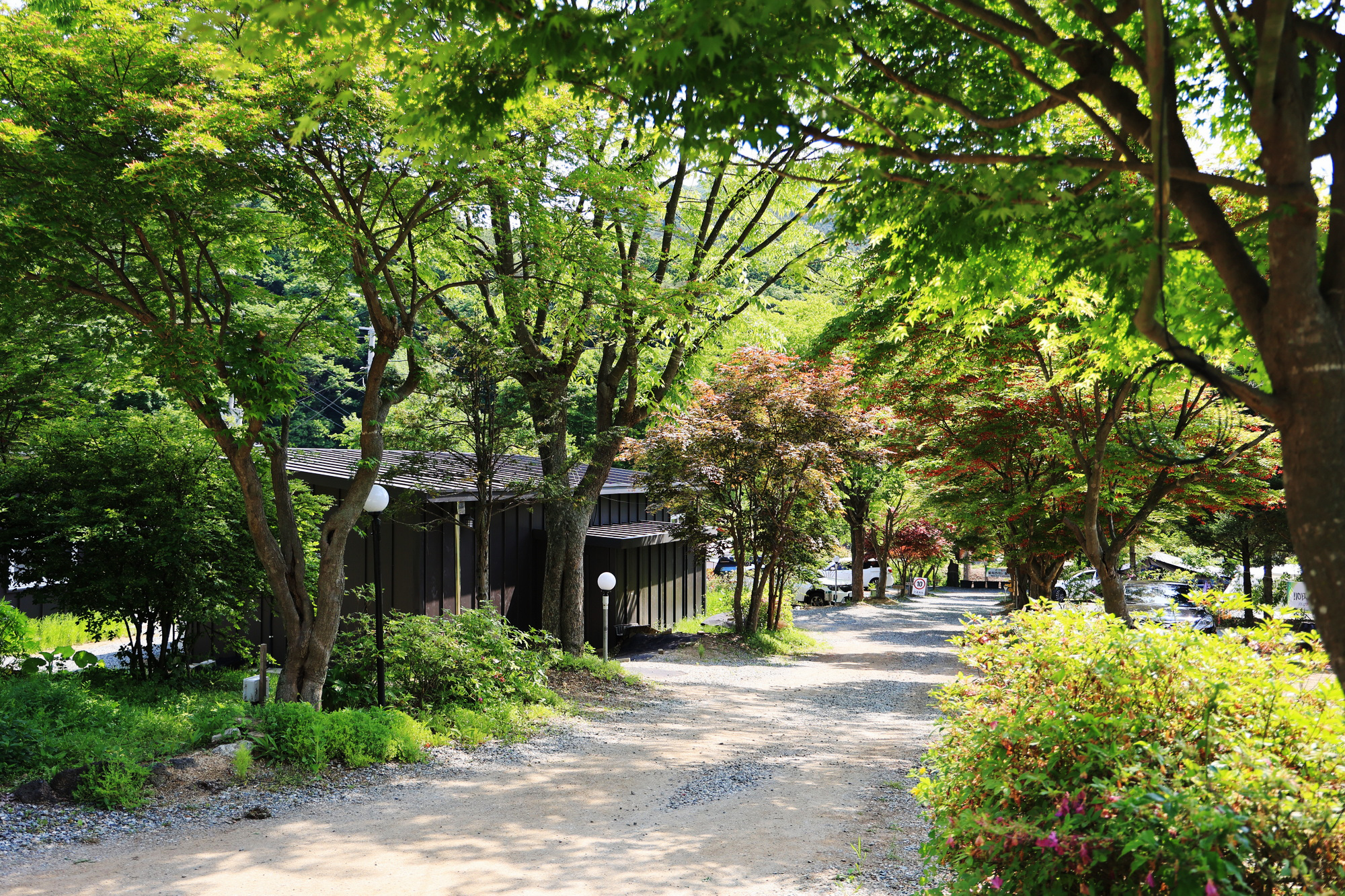 홍천 숲에서 놀자 5