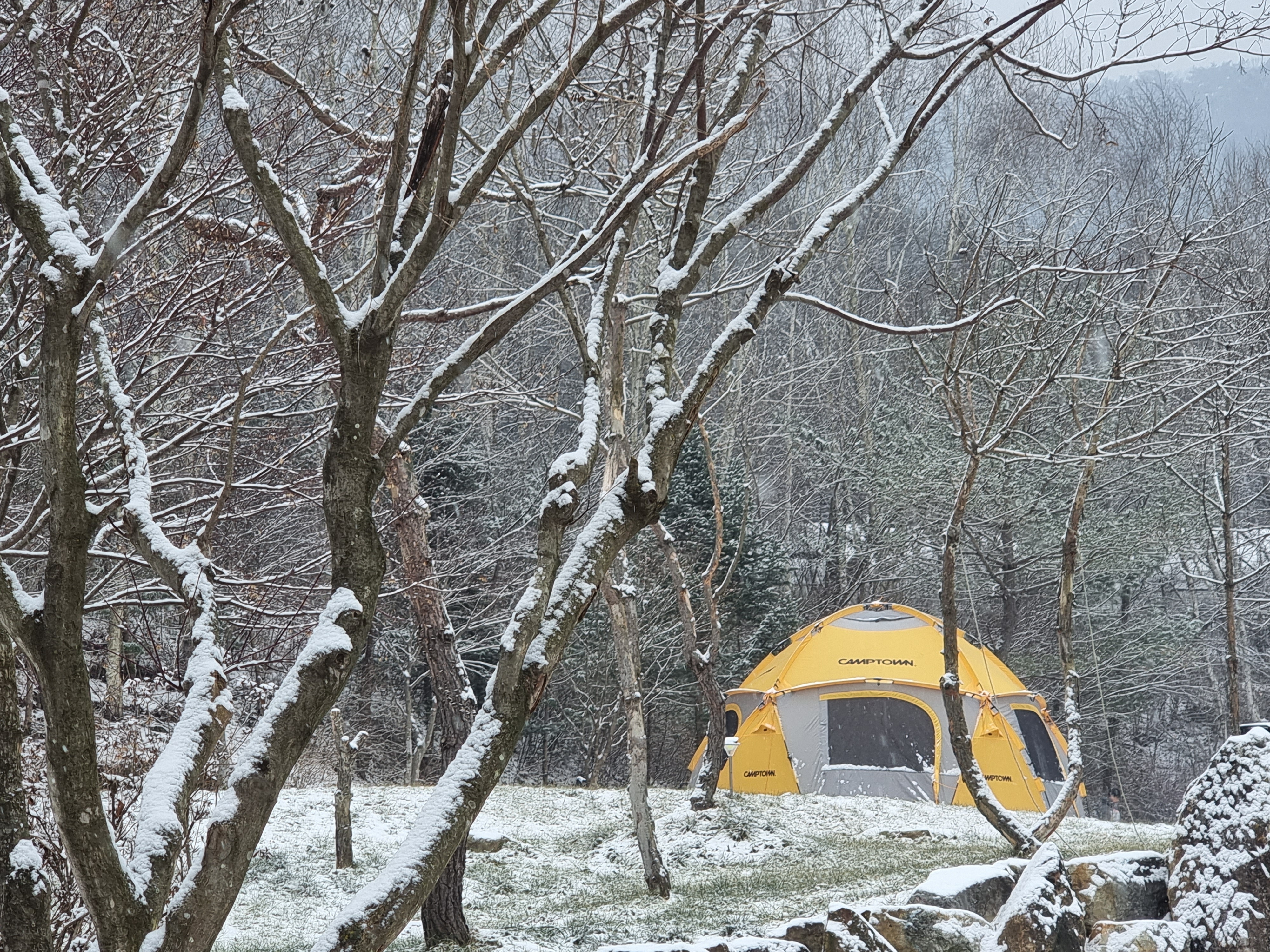 숲에서 놀자 이미지