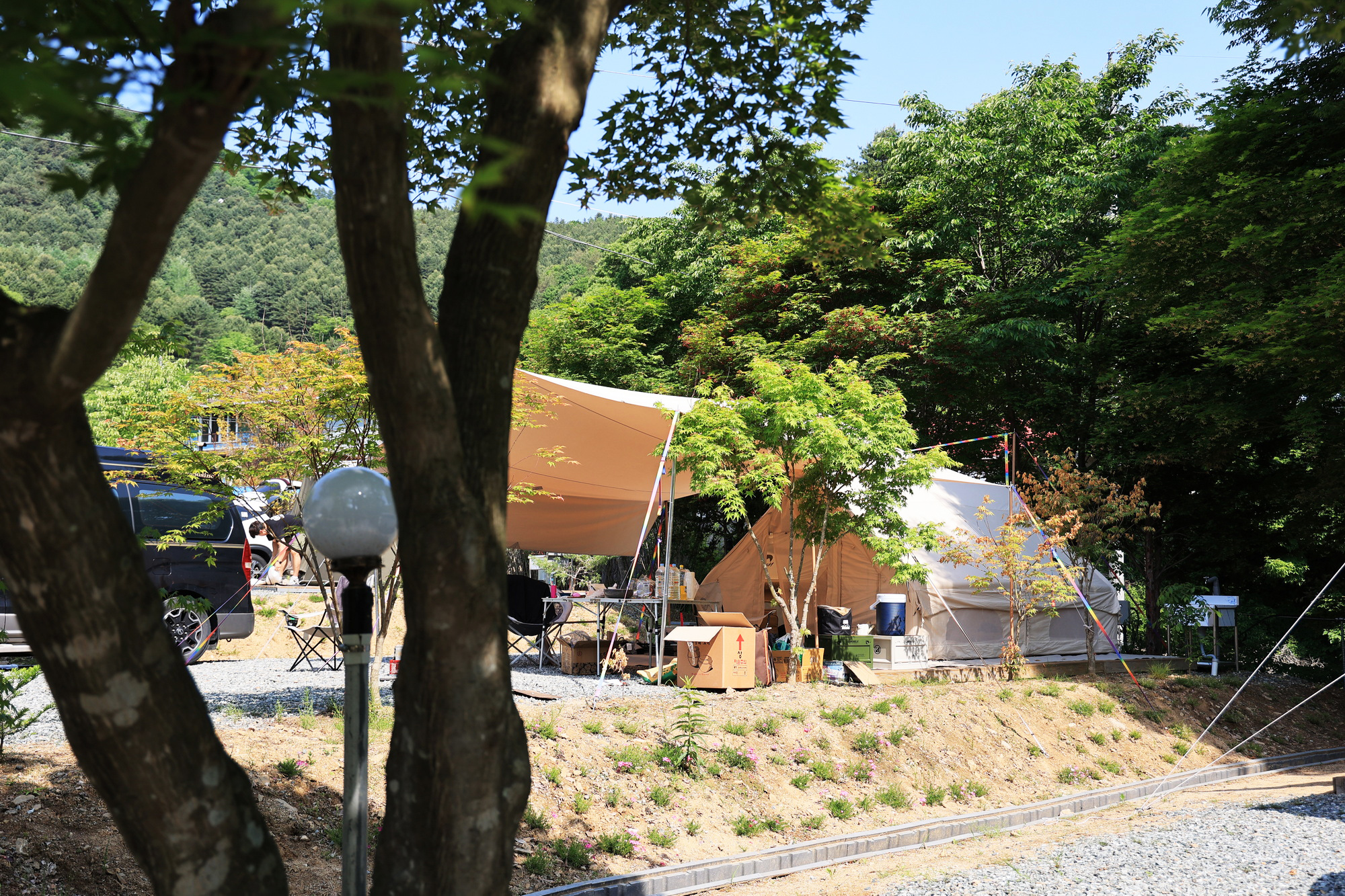 숲에서 놀자 이미지