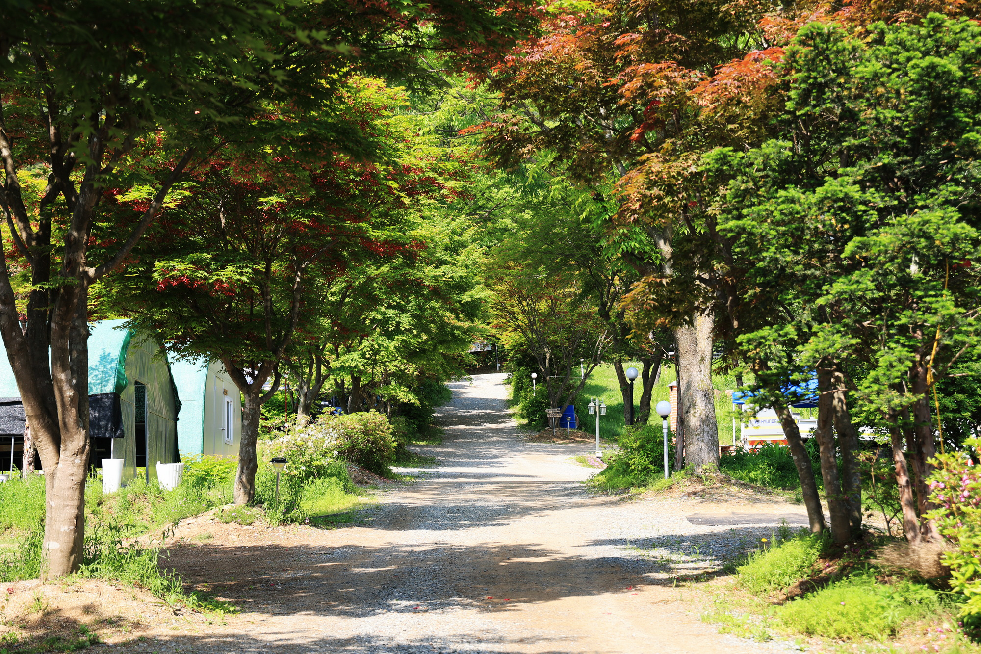 숲에서 놀자 이미지