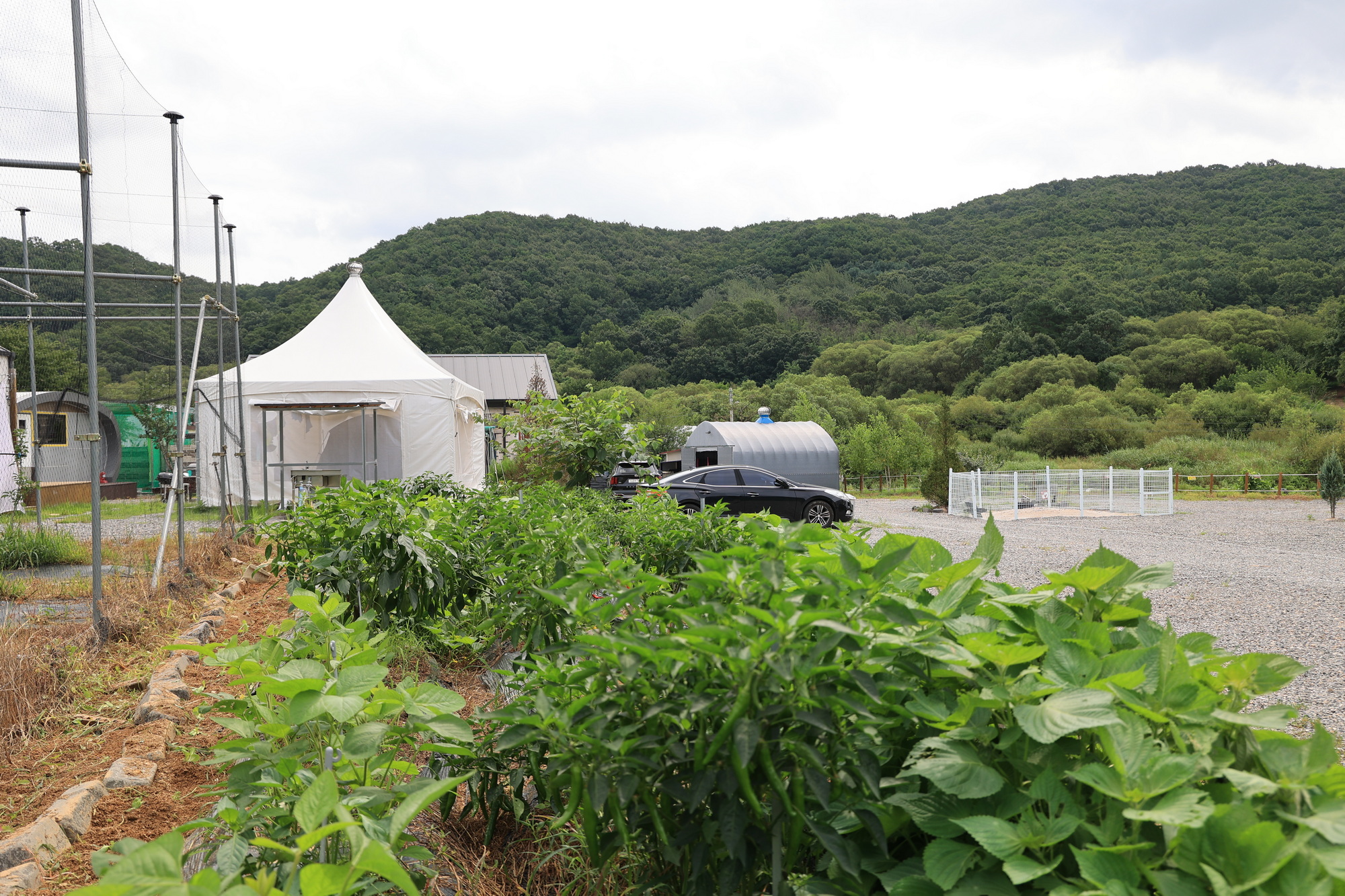 파주 야호캠핑장 5