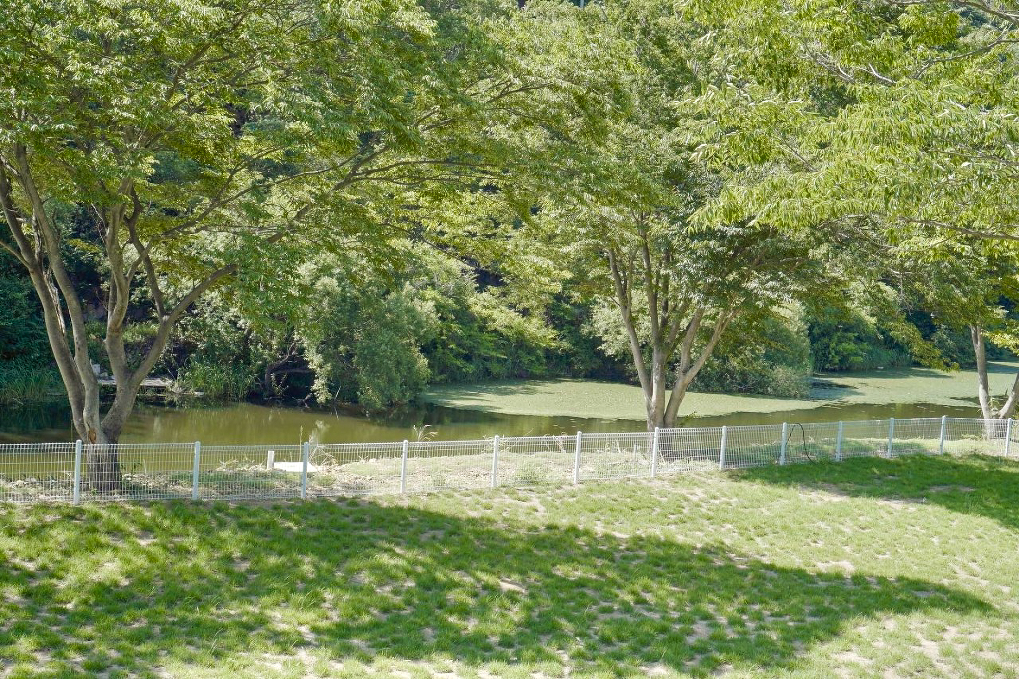 벨캠핑장 이미지