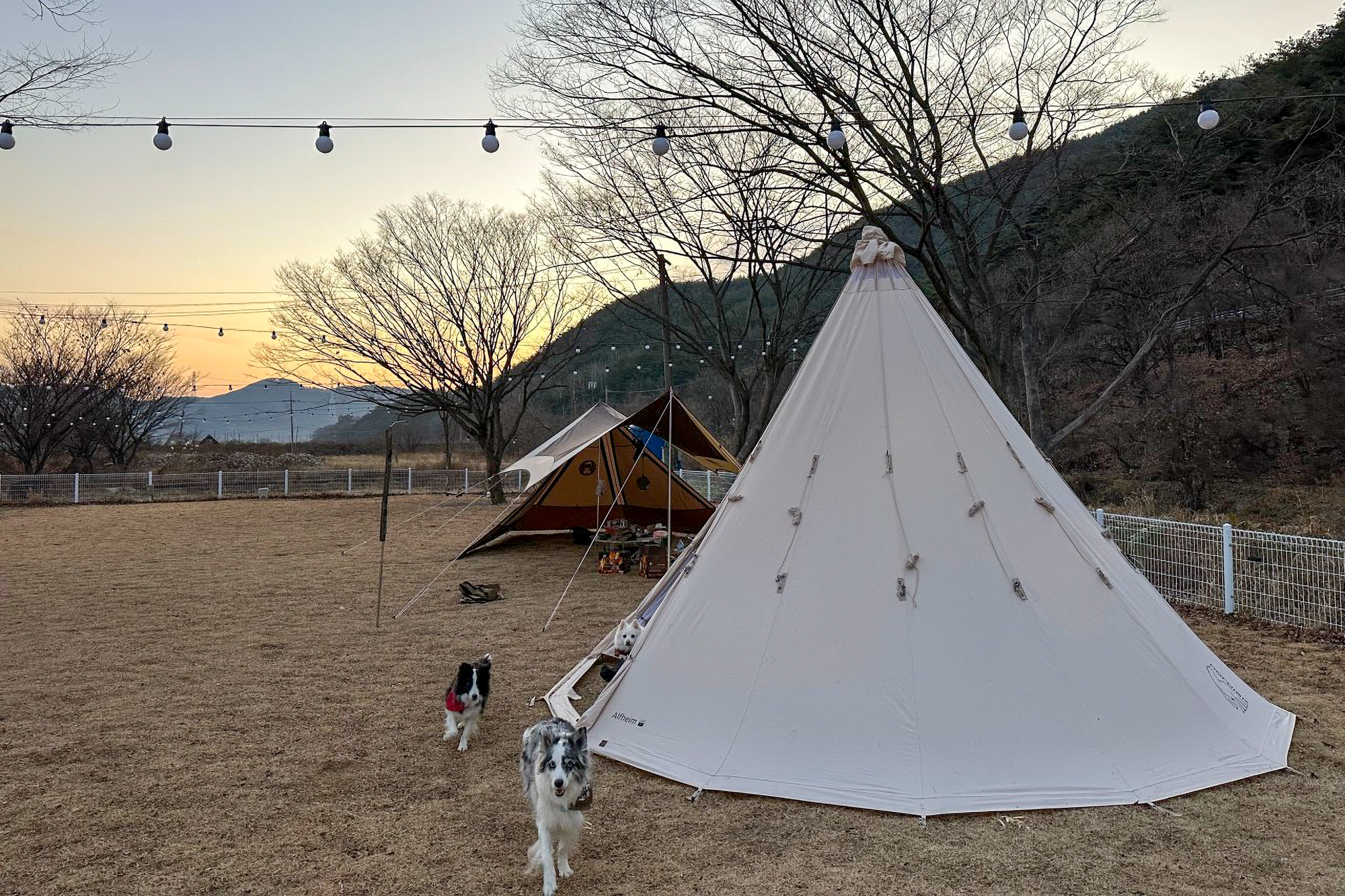 벨캠핑장 이미지