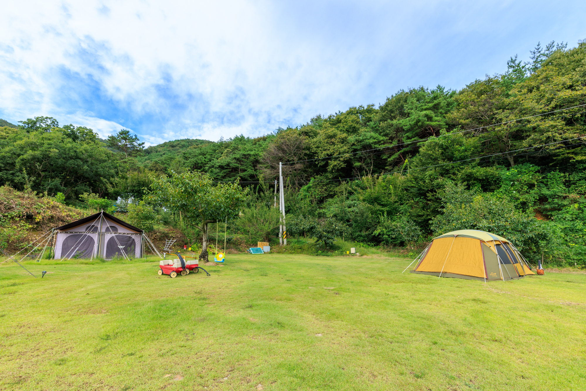 숲속의 관광농원 이미지