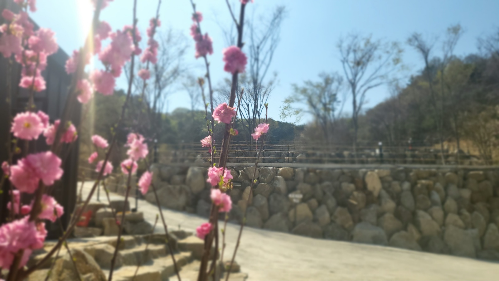 양평 다문188캠핑장 2