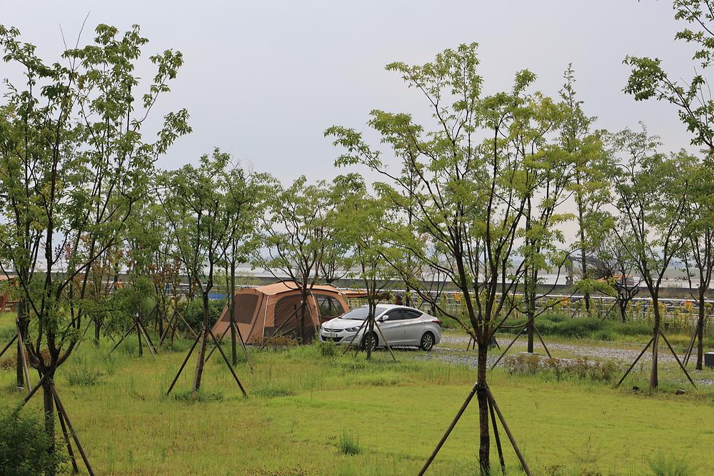 평택항 국민여가캠핑장