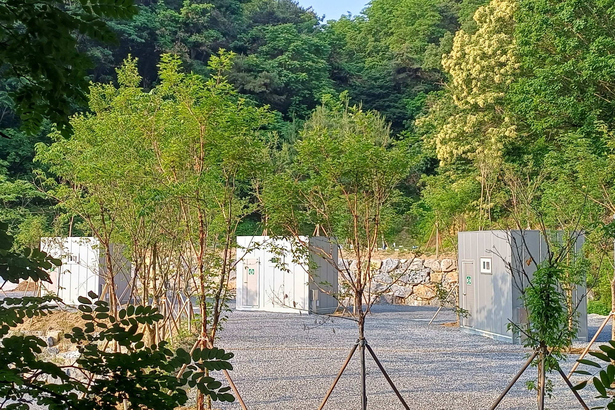 몽상핀 이미지
