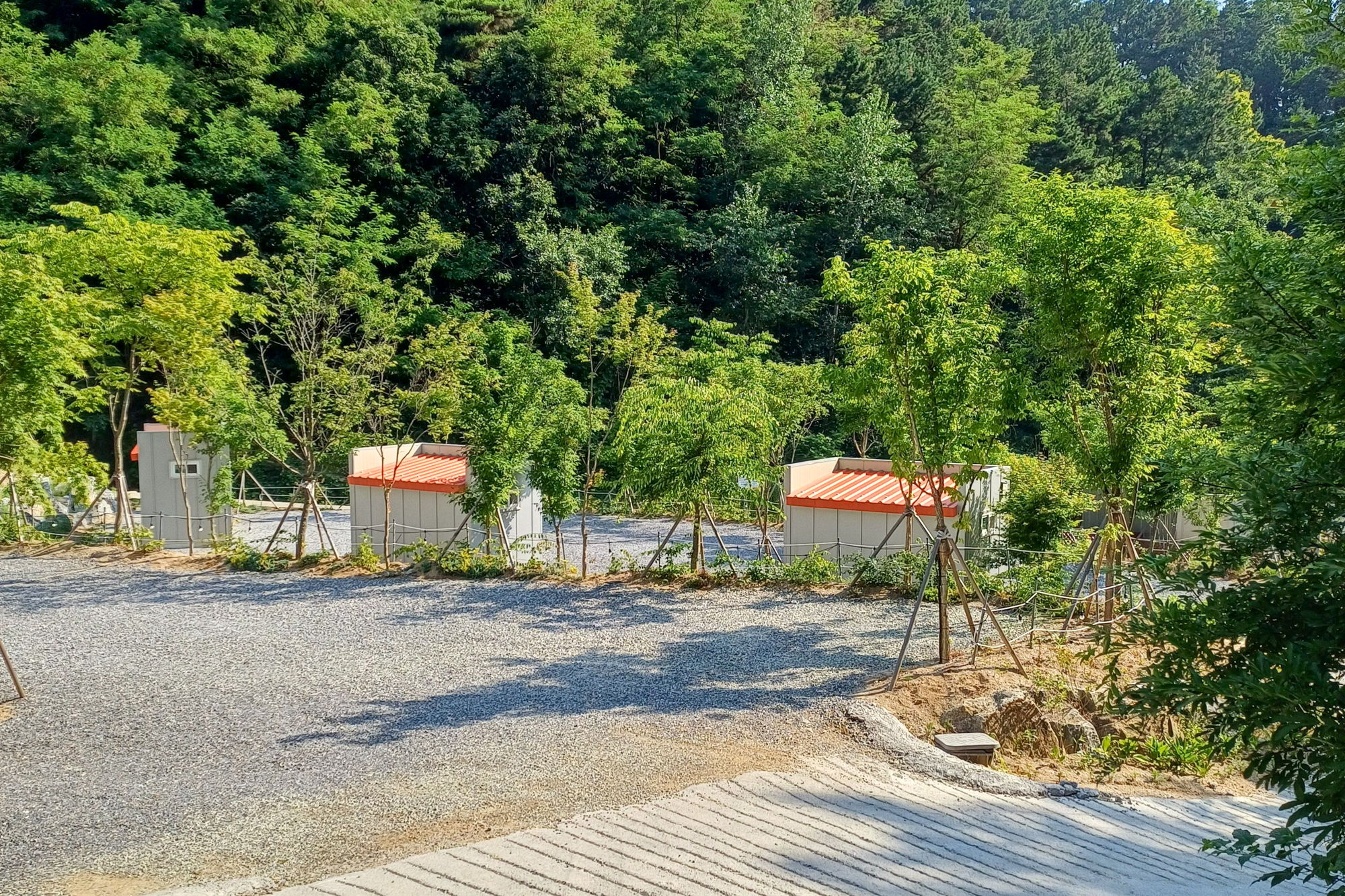 몽상핀 이미지