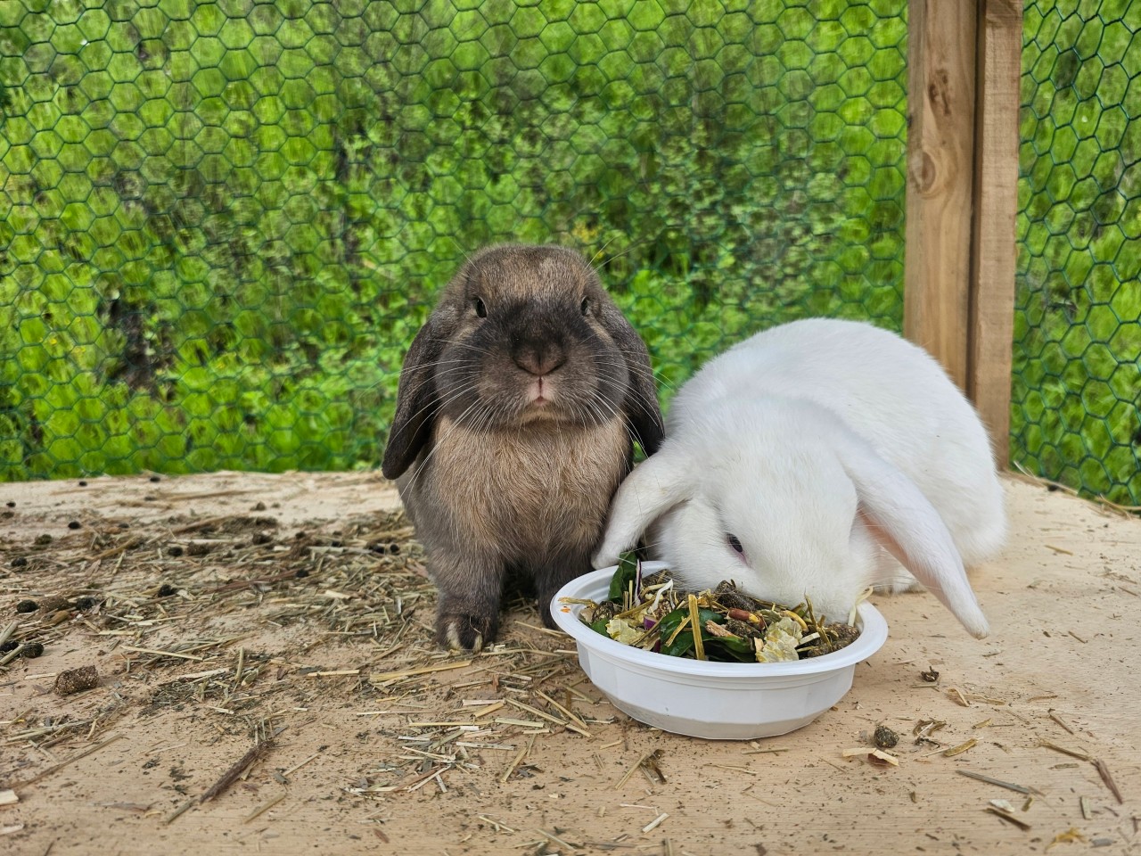 해월카라반앤캠핑 이미지