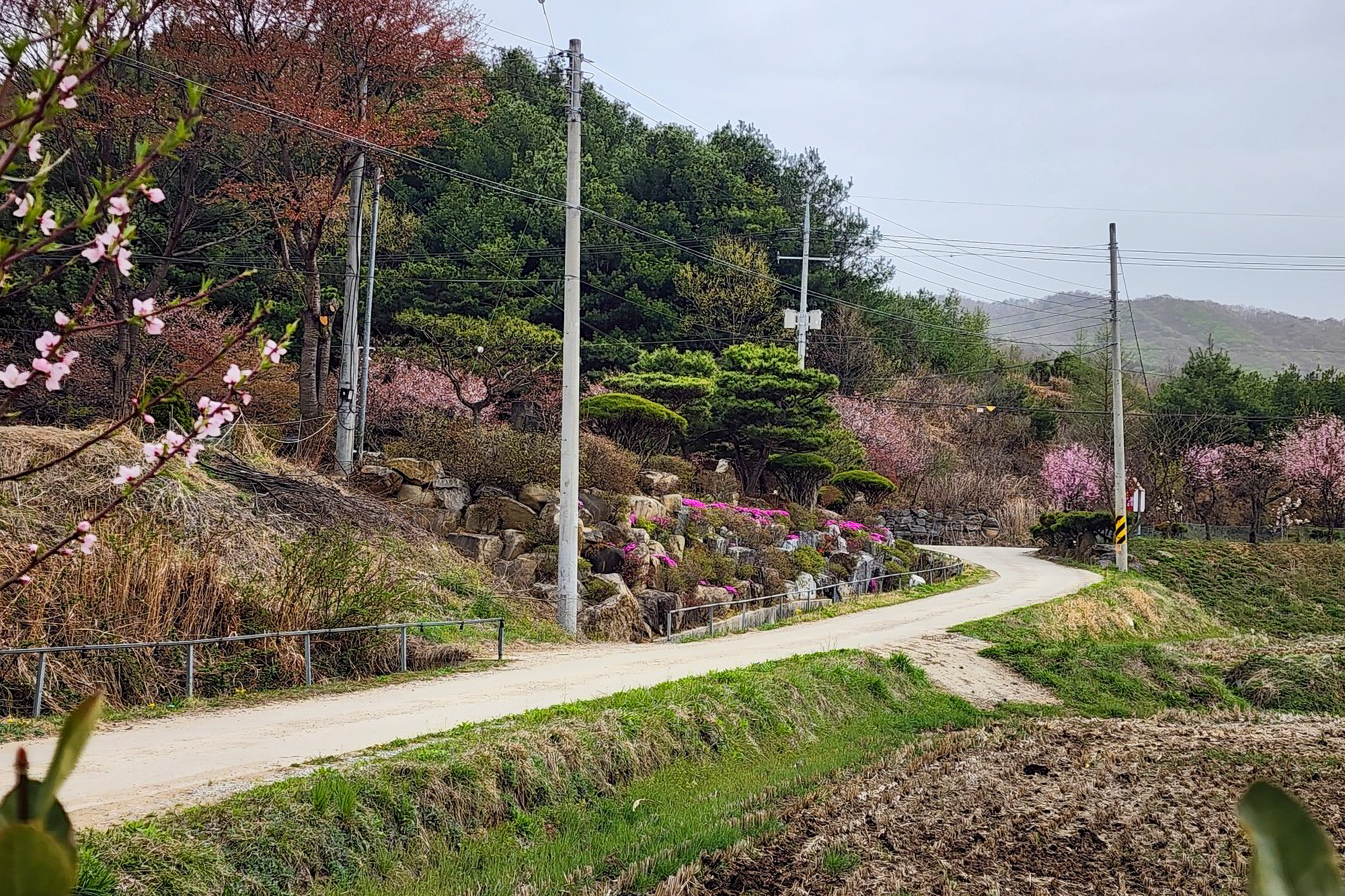 위례성캠핑장 20번째 이미지