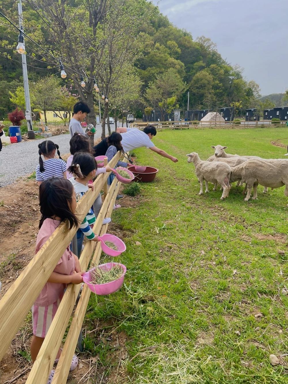 jj오토캠핑장