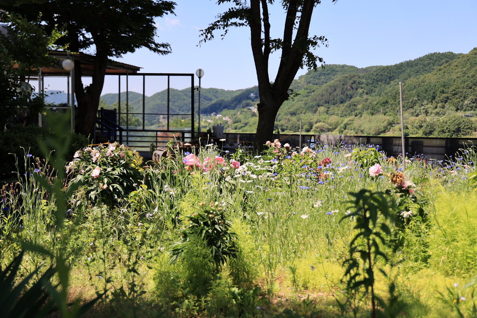 봄날농원 이미지