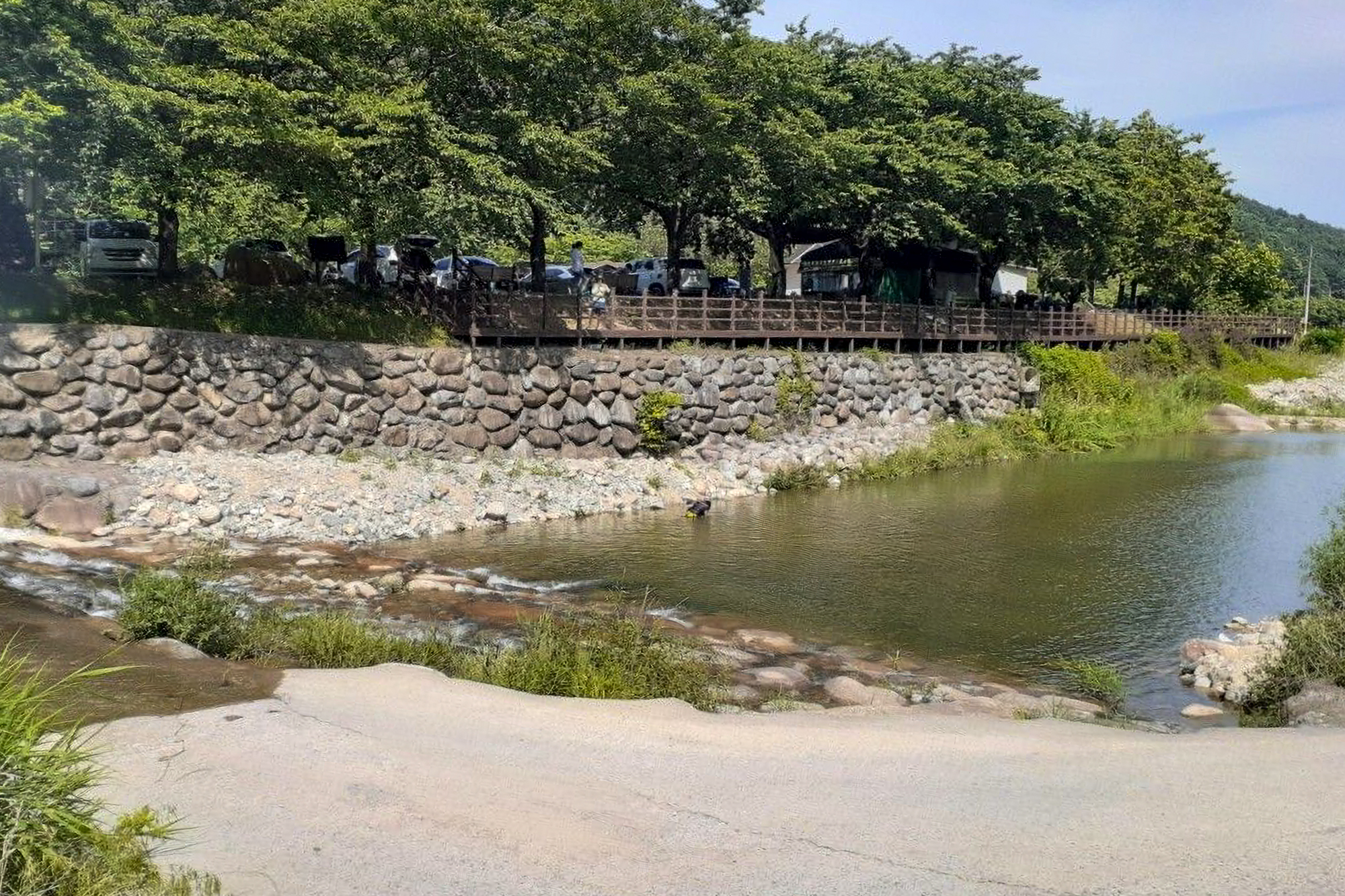 다시캠핑장위드펫 이미지