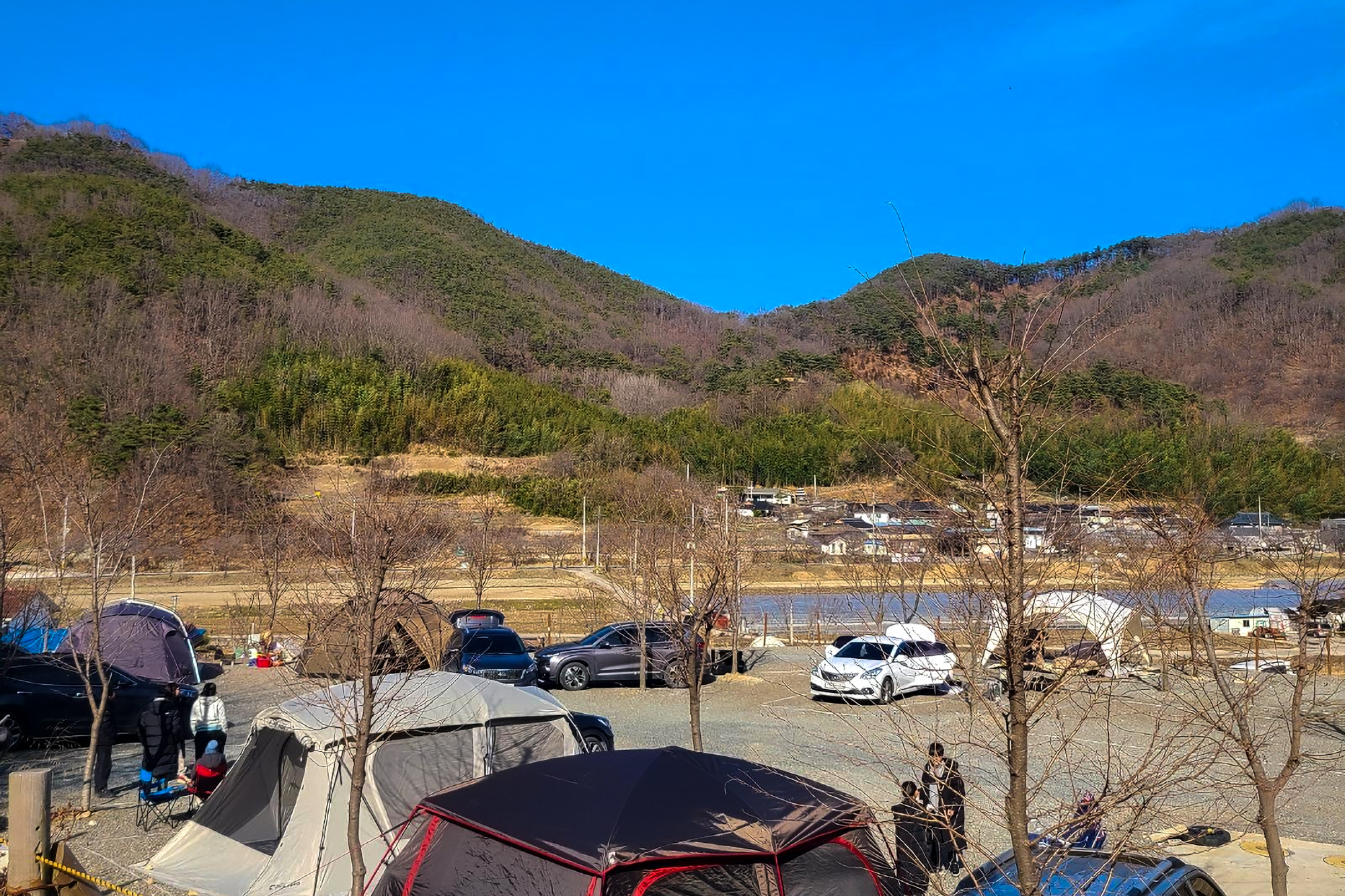 다시캠핑장위드펫 이미지