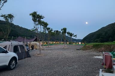 다시캠핑장위드펫 사진