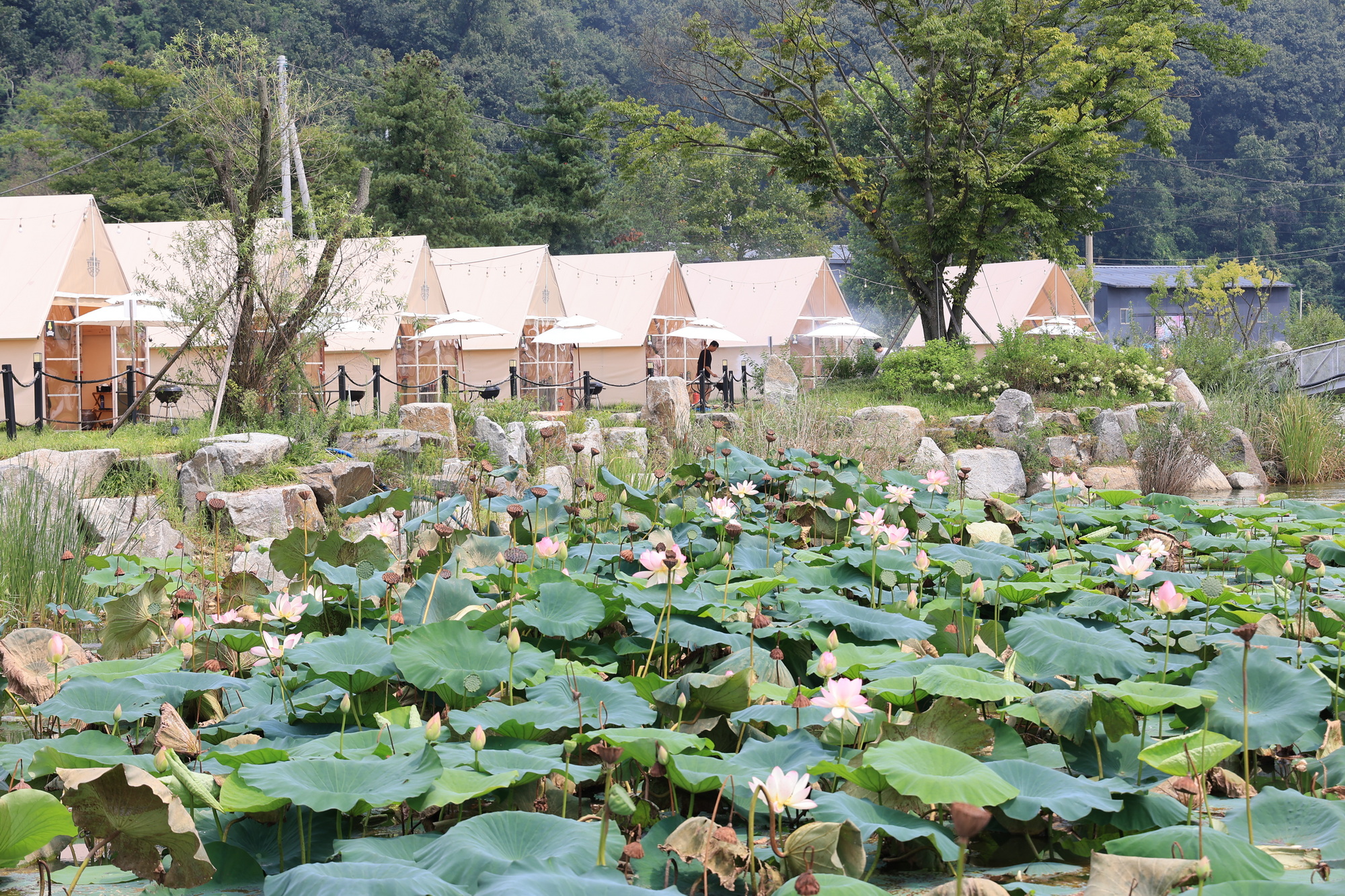 용인 (주)캠핑야미 2