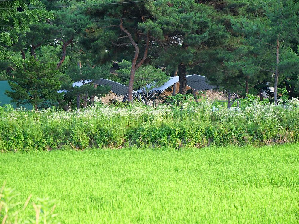 포천 리버빌캠핑&카페