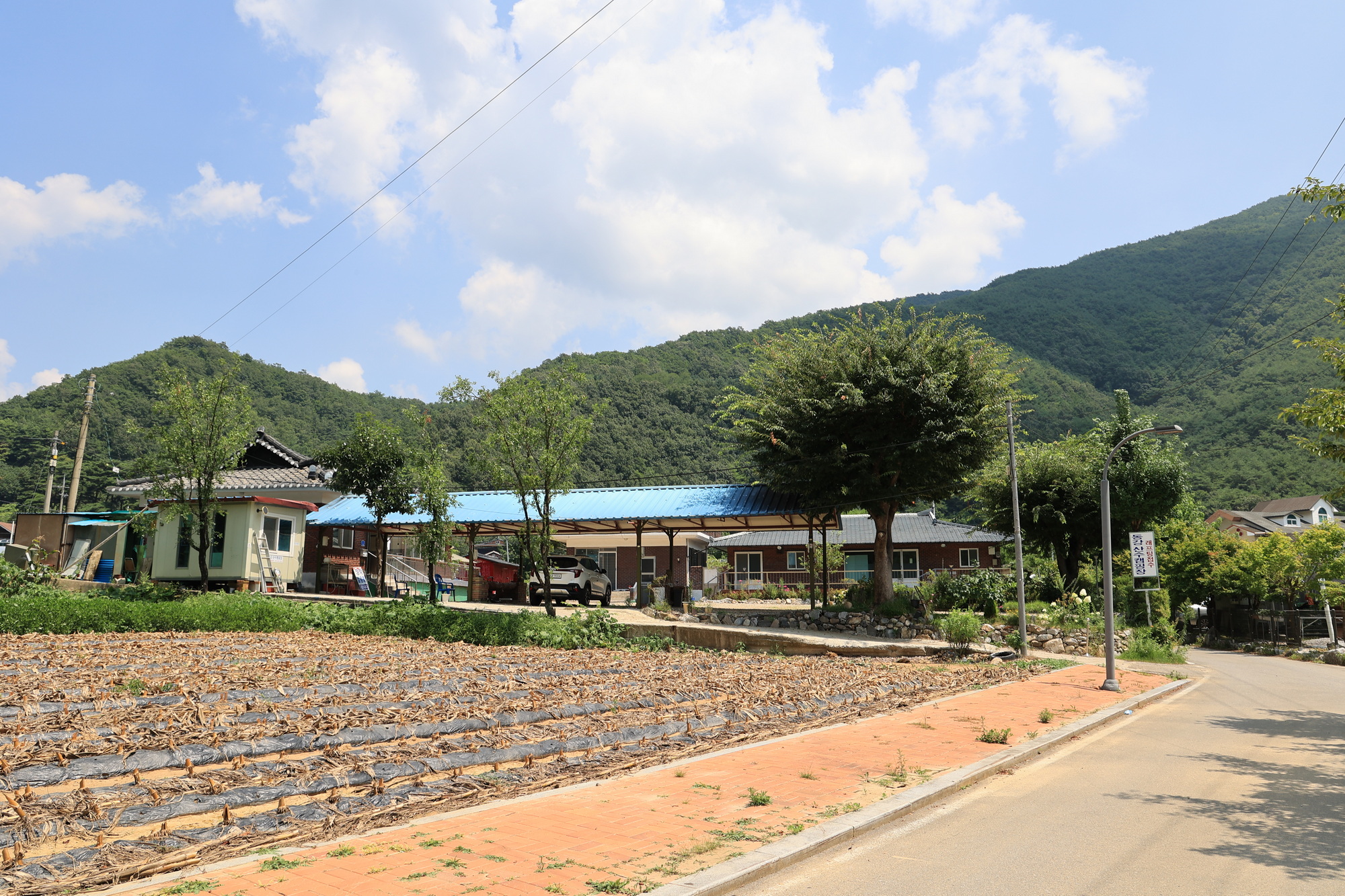 동강 산수 캠핑장 12번째 이미지