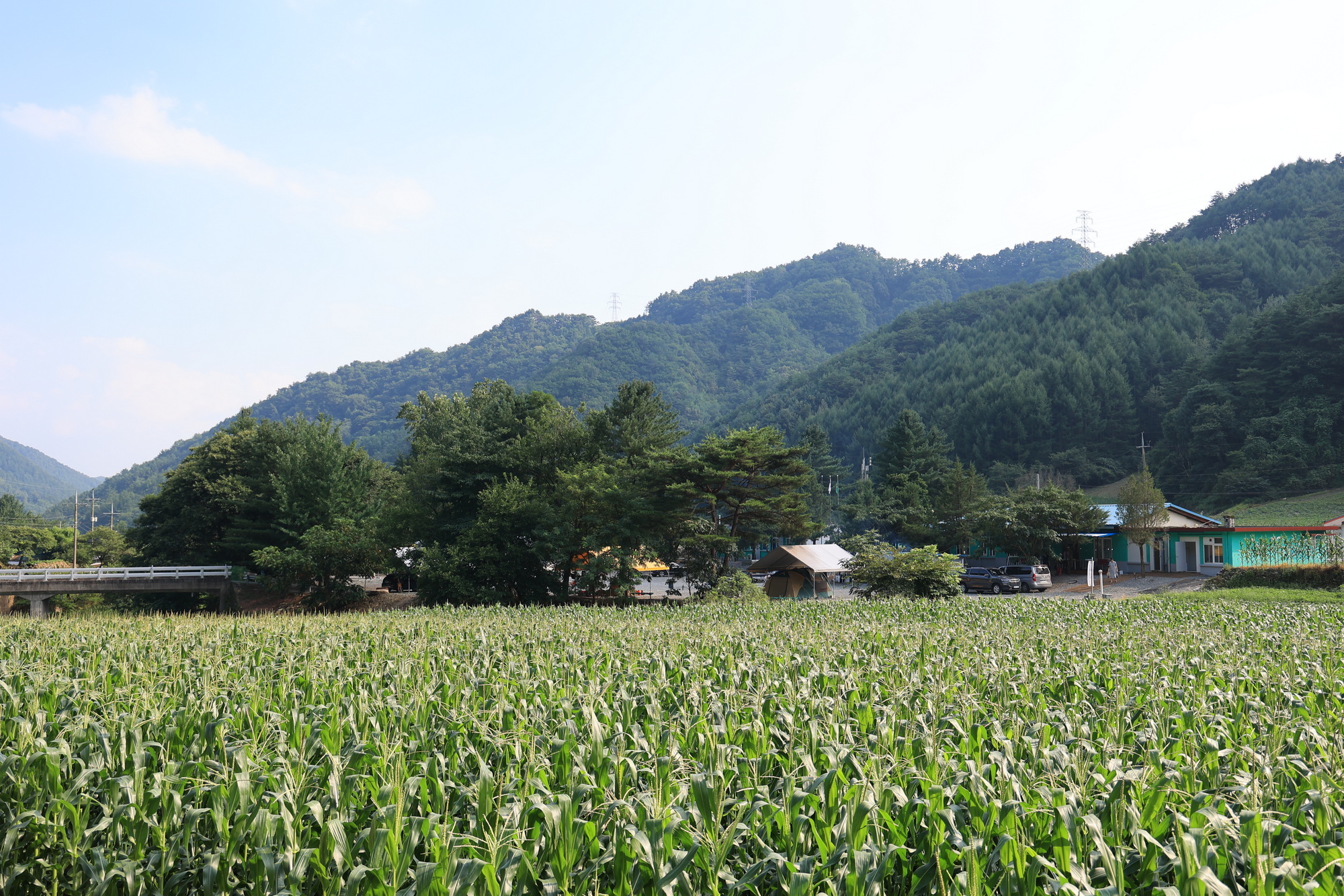 백덕산 캠핑장 19번째 이미지