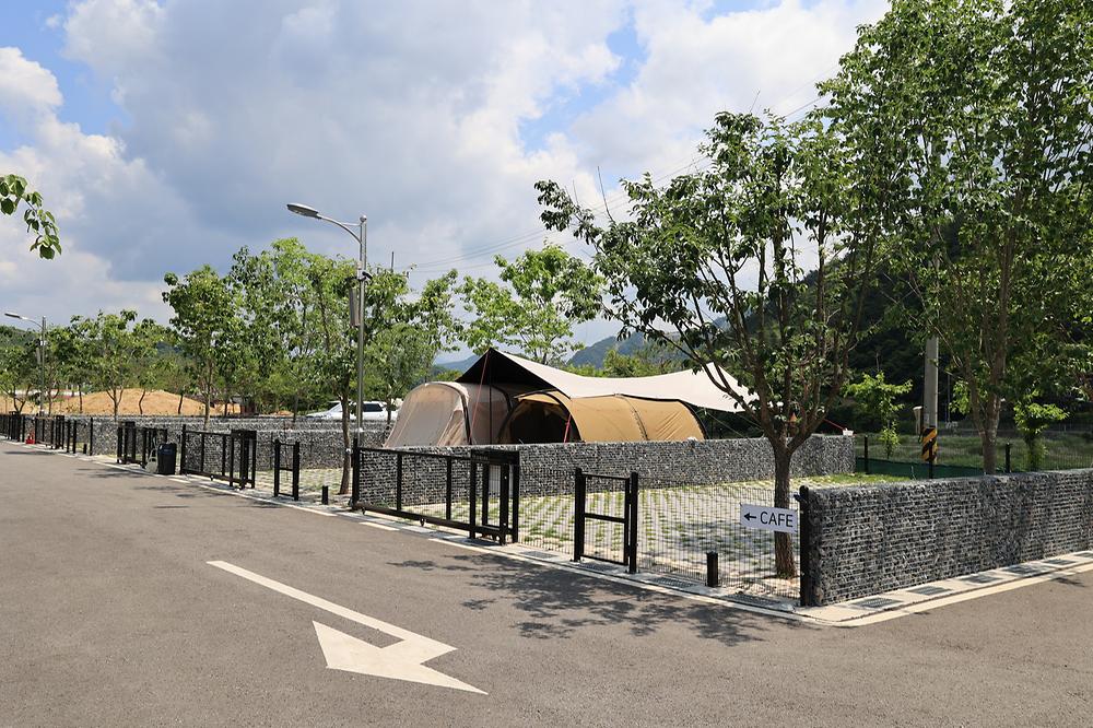 포레스트