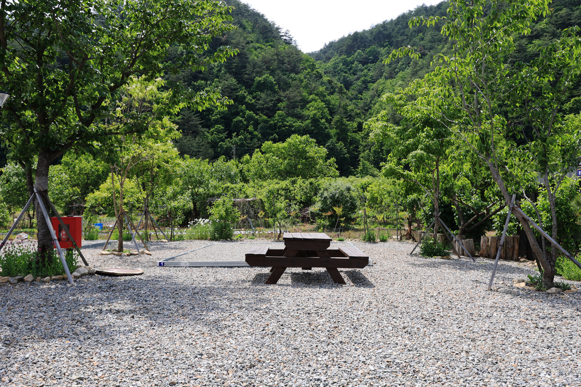 양양 별밤캠핑장 이미지