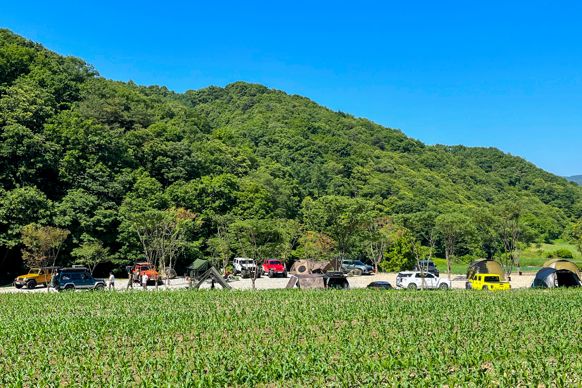 파파스 캠핑장 이미지