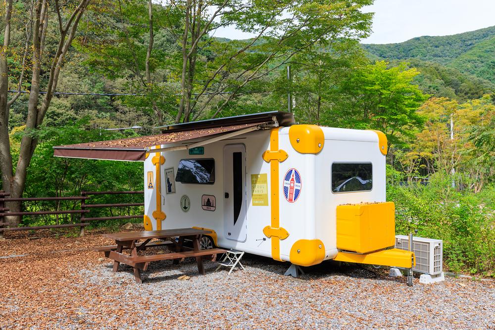 성수산 왕의숲 국민여가캠핑장