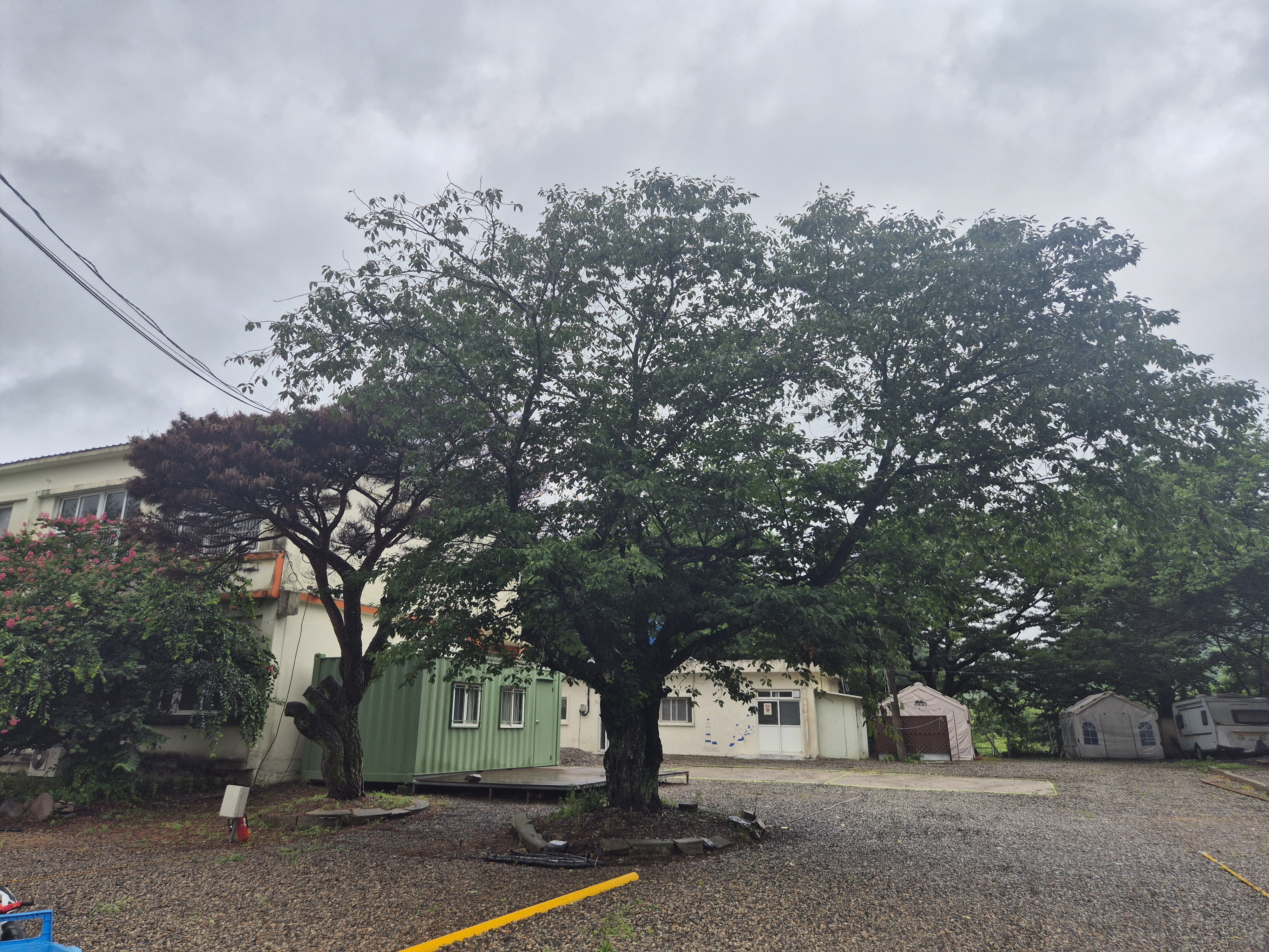 경주쿠키오토캠핑장 이미지