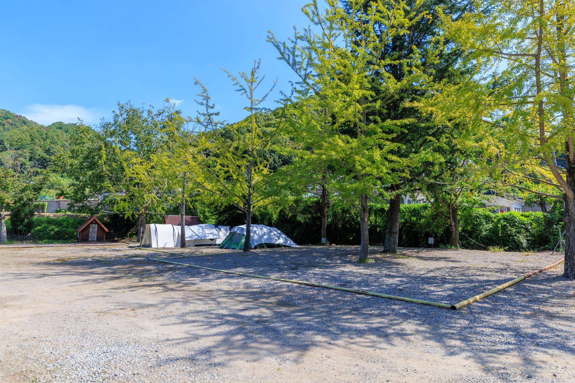 경주쿠키오토캠핑장 이미지