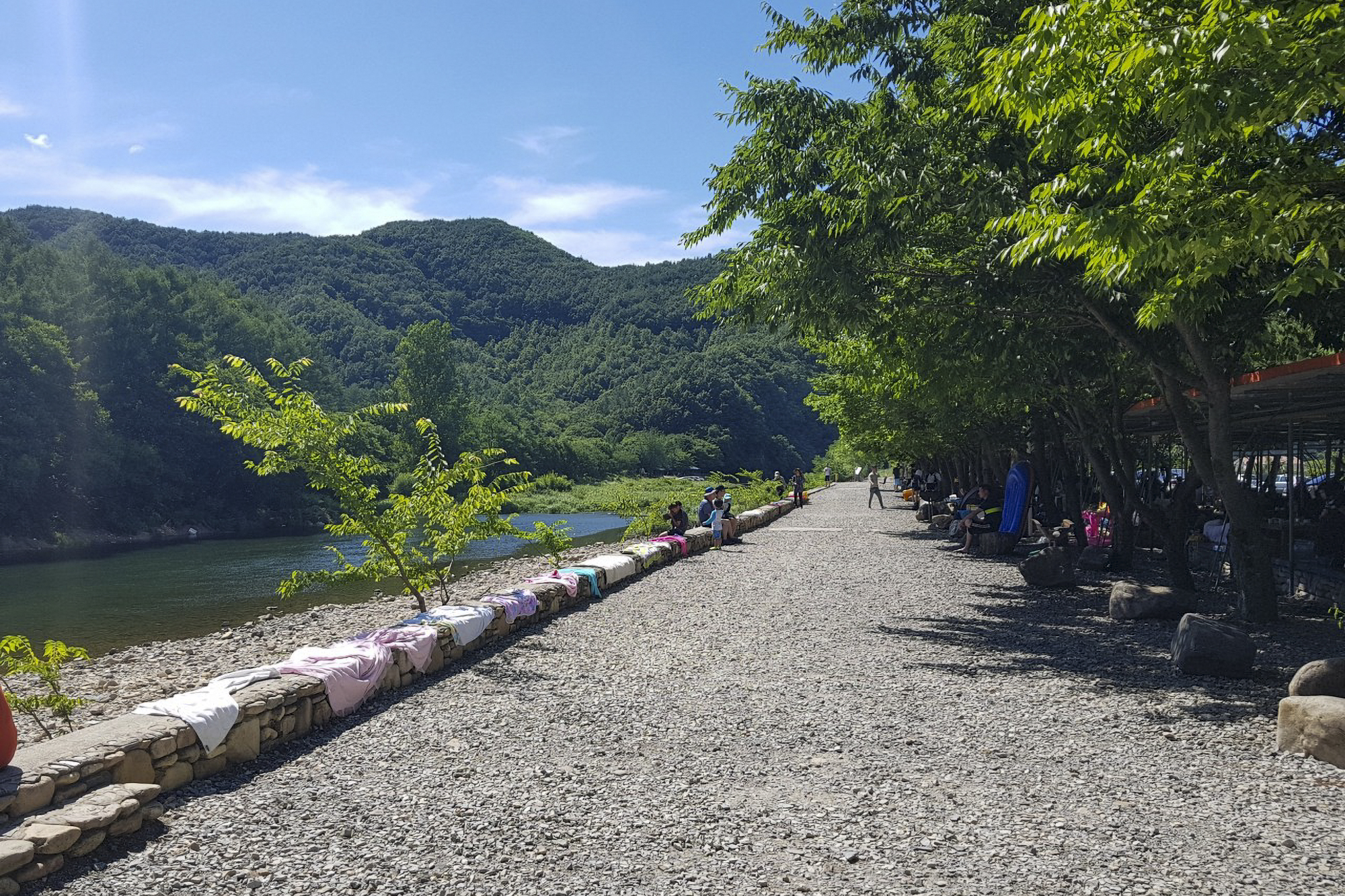 솔밭캠핑장 이미지