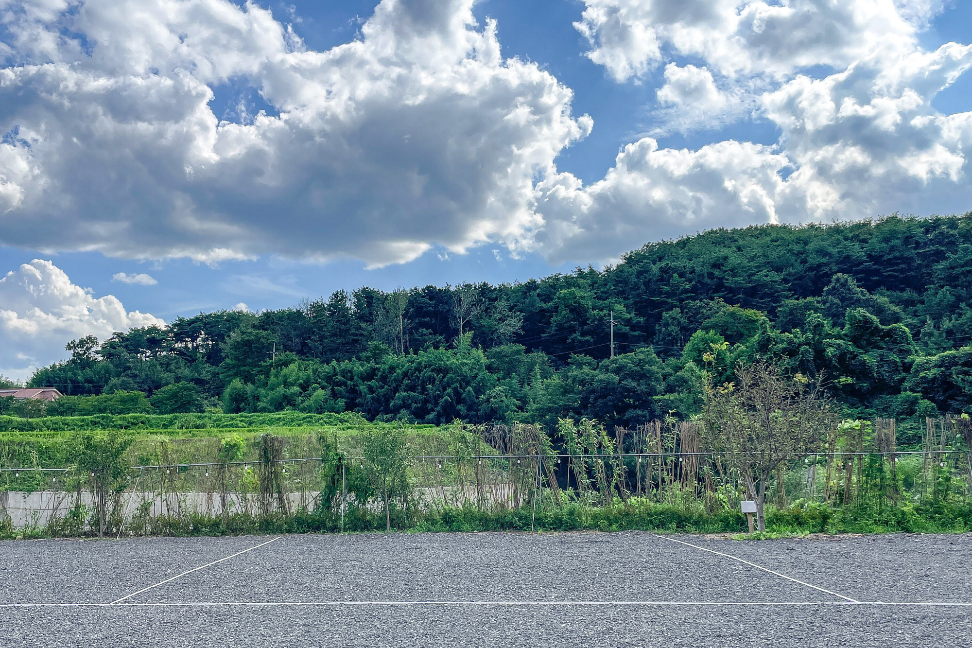 하이스토리 캠핑장 이미지