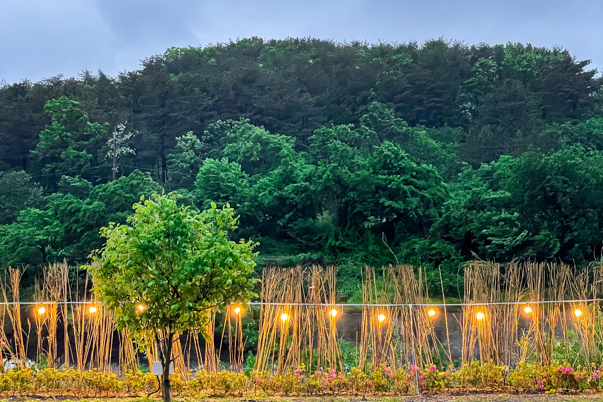 하이스토리 캠핑장 이미지