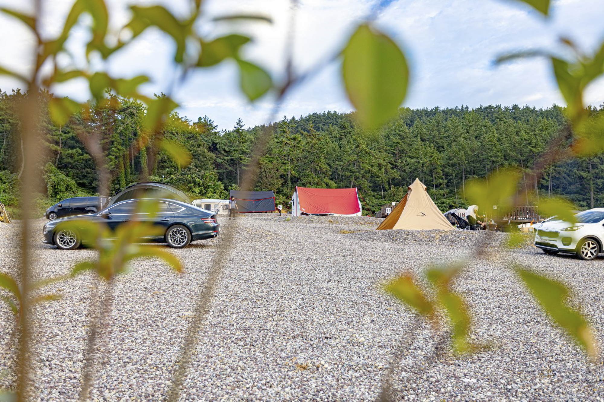 다온 오토캠핑장 이미지