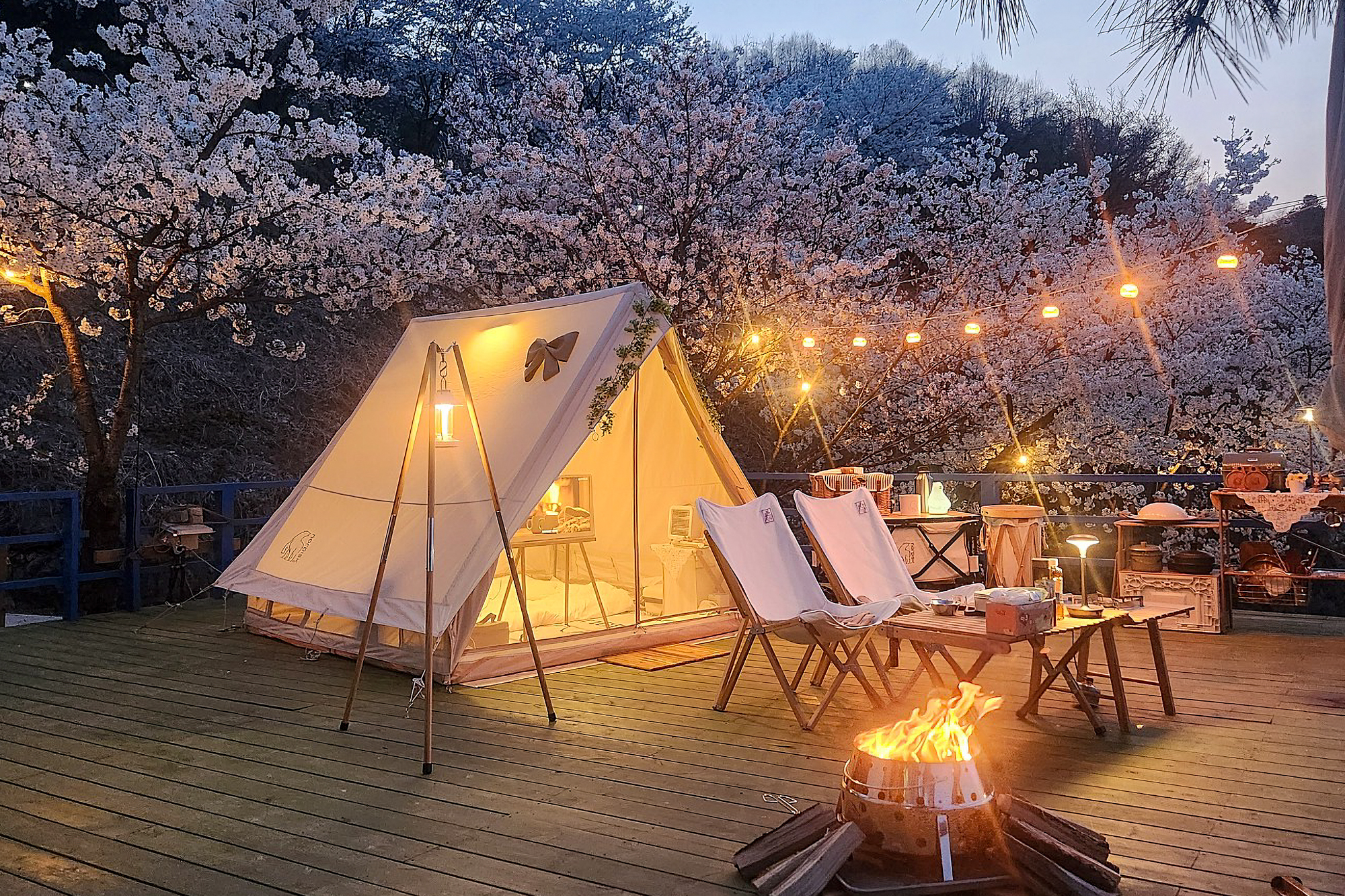 충주호더쉼캠핑장 이미지