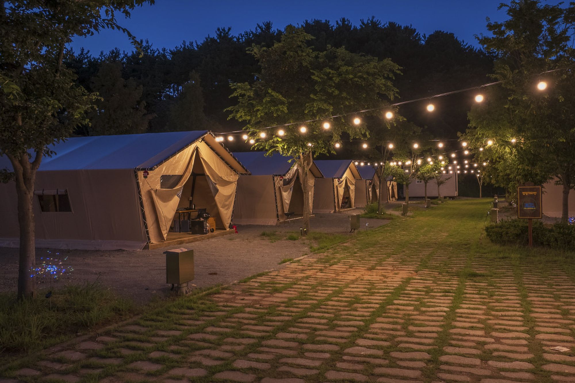 디노글램핑 이미지