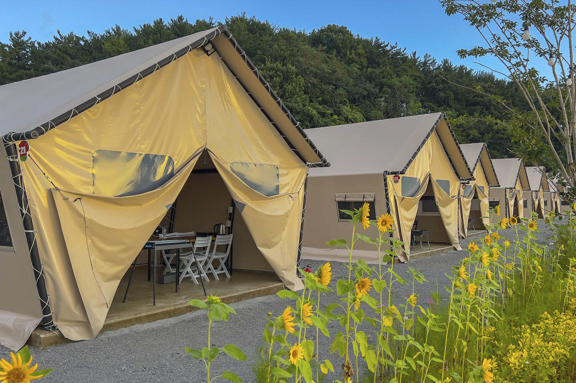 디노글램핑 이미지