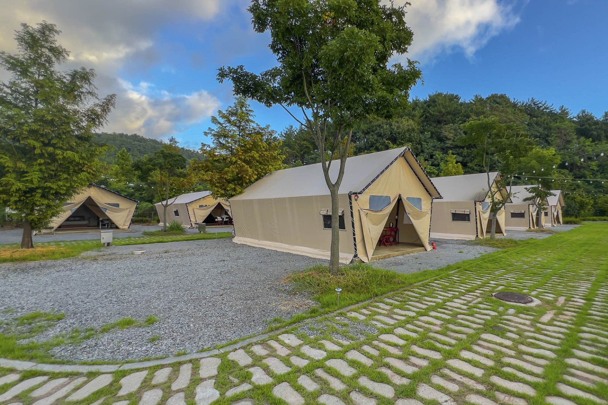 디노글램핑 이미지