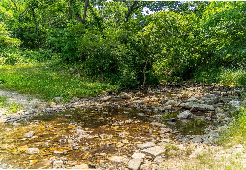 고려산 힐링캠프 이미지