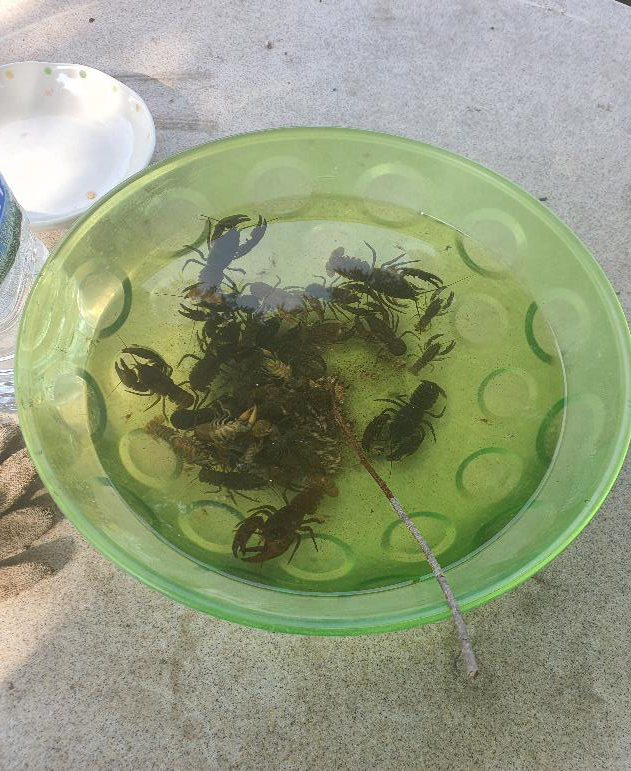 고려산 힐링캠프 이미지