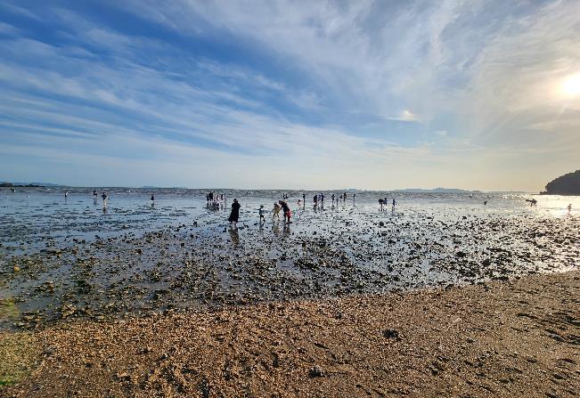 고려산 힐링캠프 이미지