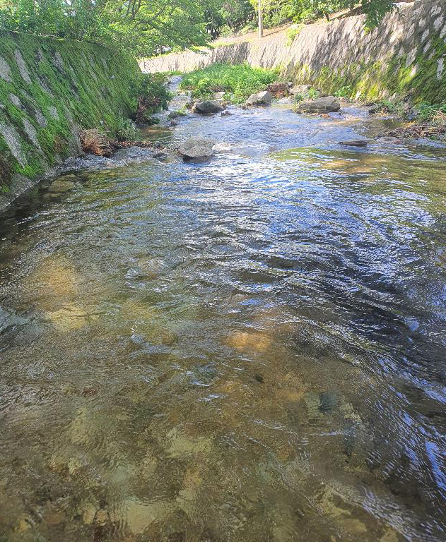 고려산 힐링캠프 이미지