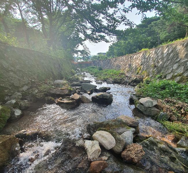 고려산 힐링캠프 이미지