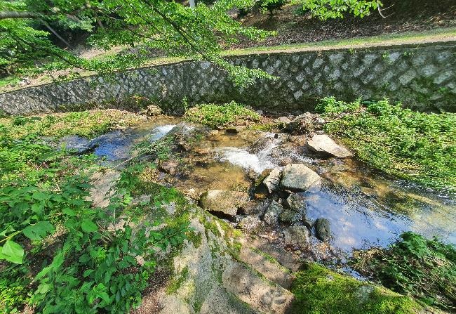 고려산 힐링캠프 이미지