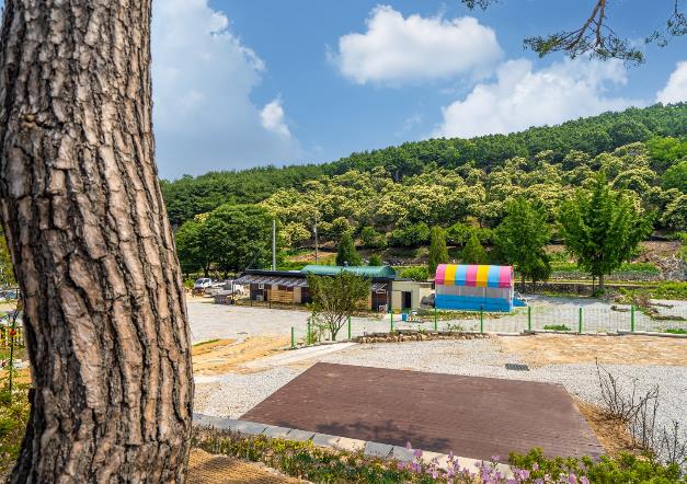 고려산 힐링캠프 이미지