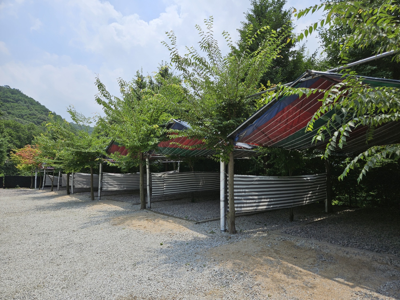 양주 개네집캠핑장 9