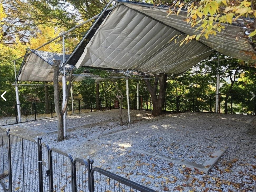 포근마루캠핑장 7번째 이미지