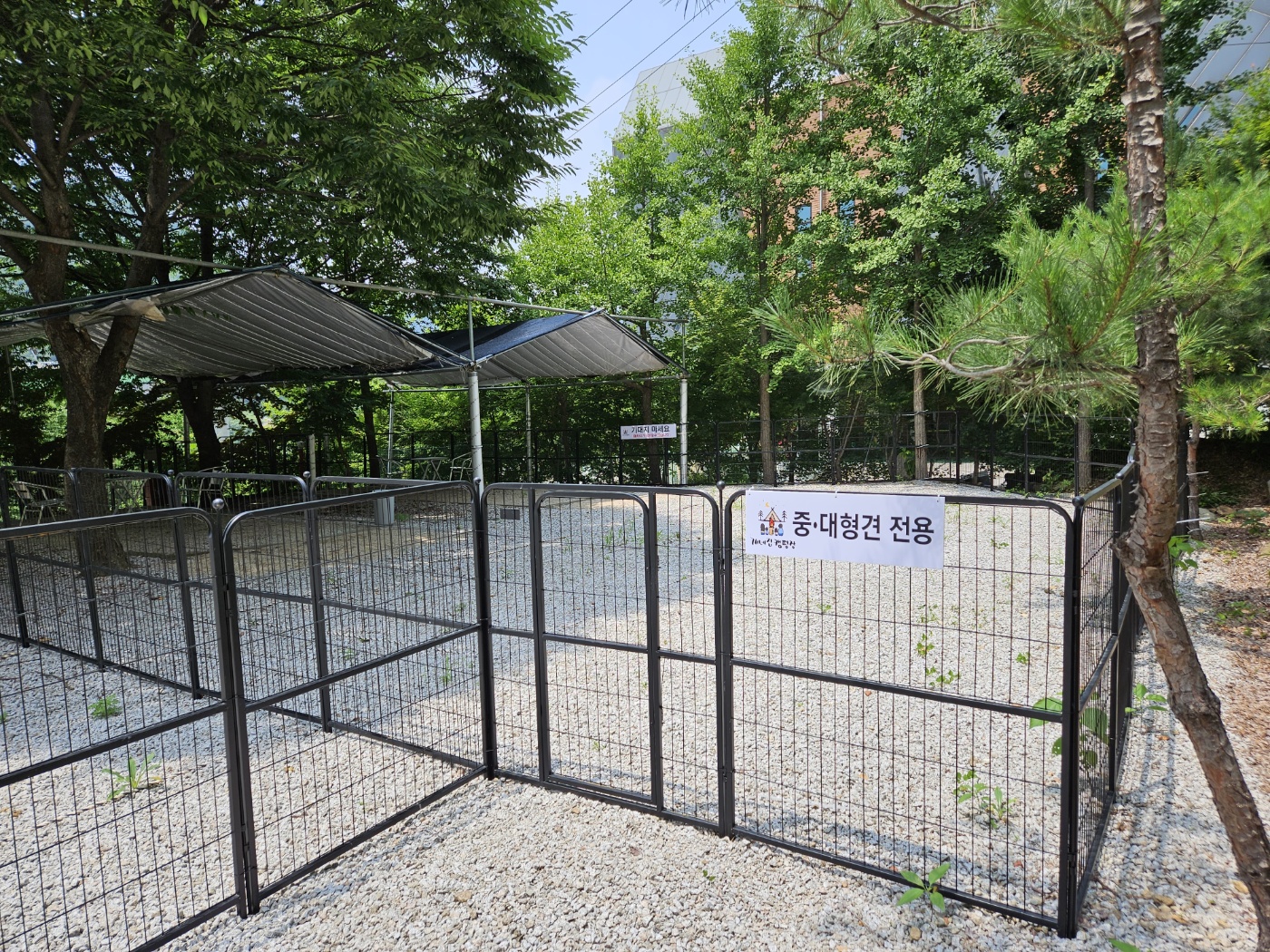 양주 개네집캠핑장 7